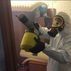 Уничтожение клопов в квартире. Посёлок Советский